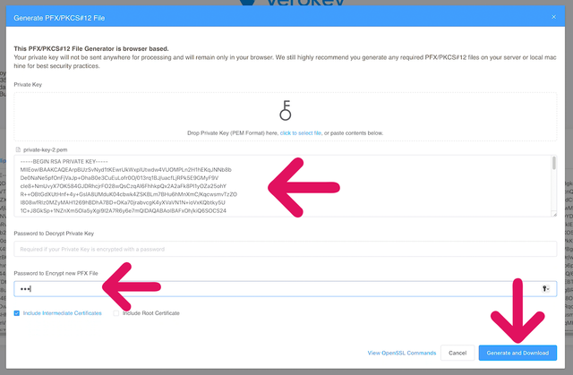 fields to generate pfx file