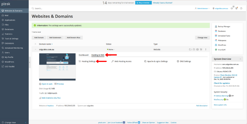 plesk hosting and dns settings